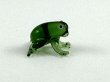 画像4: 無事に帰る　かえる　カエル　小　緑　クリア